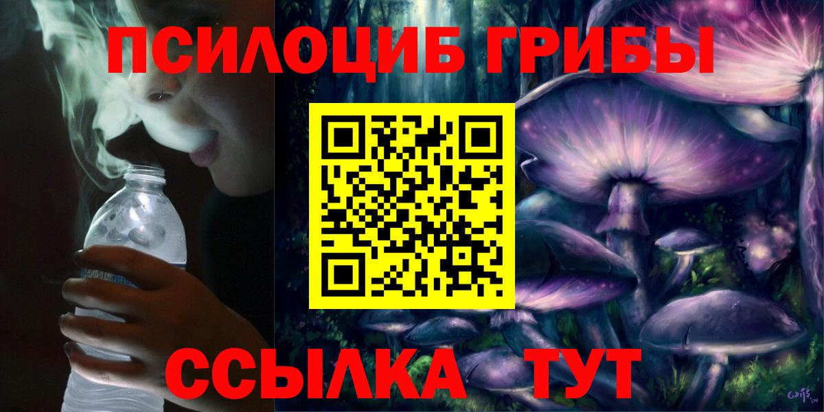 Славгород  Галлюциногенные грибы мицелий  даркнет сайт  Вход с VPN  Галлюциногенные грибы ЛСД 